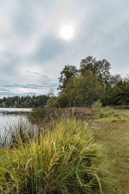 Lake park Bankası bulutlu gökyüzü altında ormanlık