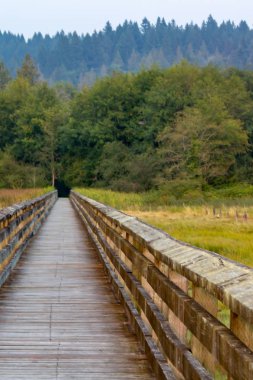 çim ve orman ile dikey çekim sol geçit