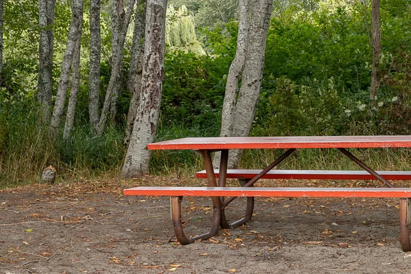 Banco de piquenique vermelho maçante com terra de sujeira e árvores — Fotografia de Stock