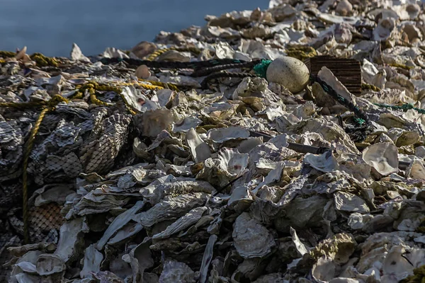 Högar av gamla trasiga oyter skal på en oyster gård — Stockfoto