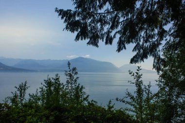 Yaz aylarında puget ses bitkiler karanlık çerçeve ile su.