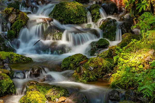 Washington State River che scorre sulle rocce muschiose — Foto Stock