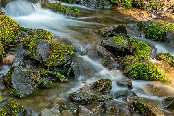 Měkká tekoucí vody přes kameny a mechem ve Washingtonu — Stock fotografie