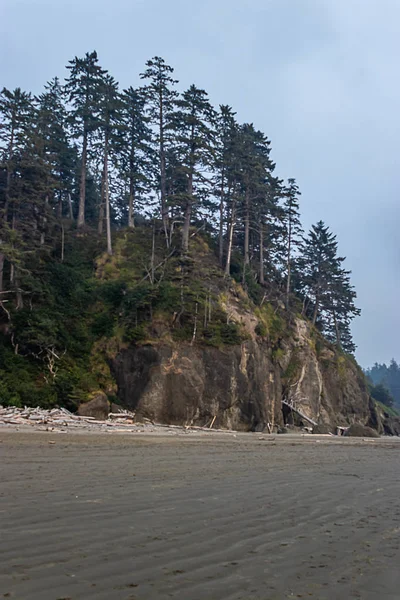 Küste des Bundesstaates Washington und Sand im Sommer — Stockfoto