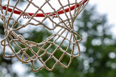 Kırmızı basketbol çember ile orman ayarda bulutlu gün