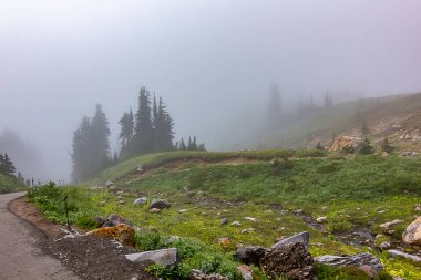 yol geçmiş alp çayır yamalı orman ve puslu gökyüzü