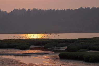 günbatımı Southampton sulak washington eyaletinde üzerinde son kızdırma