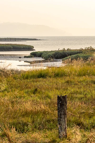 kaput kanalının kıyı şeridi boyunca dikey sulak alanlar