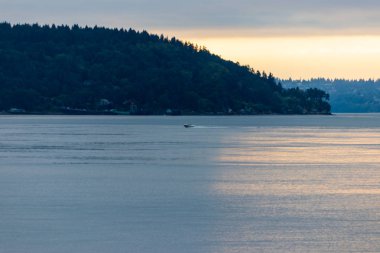 puget ses kıyı şeridi yakınında yelken küçük bir sürat teknesi