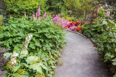 çiçekler ve bitkiler ile güzel yürüyüş yolu