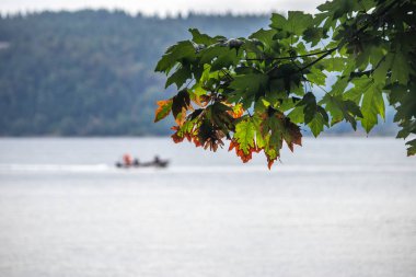 akçaağaç şube önünde su teknede