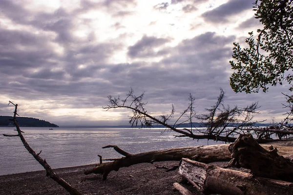 Blaue Gewitterwolken über dem Wasser von puget sound in der Morgendämmerung — Stockfoto