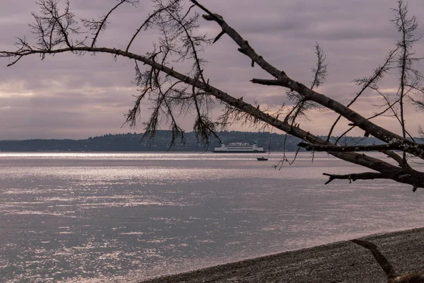 Puget sound és a komp átkelés hajnalban fa adataival — Stock Fotó