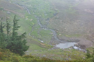 alpin çayır ve mount rainier, küçük Baraj Gölet