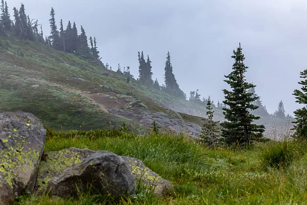 Большие камни на лугу с деревьями и туманом — стоковое фото