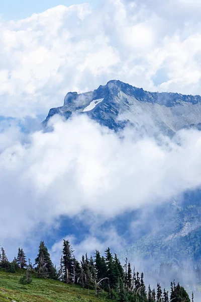 Large wall of clouds and fog hid mountains from meadow lookout spot — Stock Photo, Image