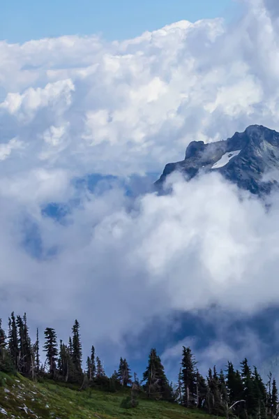 Kall morgon mountain Visa med dimma och moln på rainier — Stockfoto