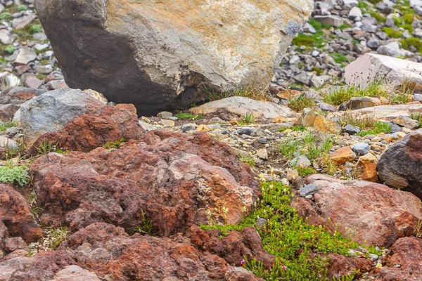 Pierre volcanique dure dans le champ de pierres laissées par la fonte glaciaire — Photo