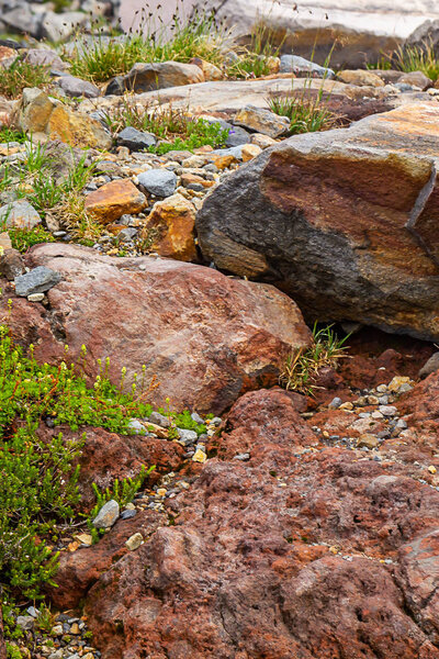 vertical harsh volcanic stone in field of stones left from glacial melt