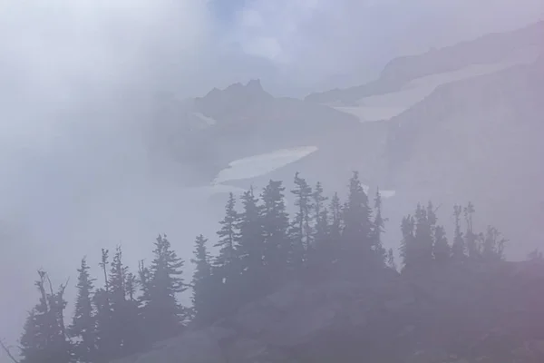 Paisagem cinzenta criada pelo nevoeiro profundo no monte chuvoso — Fotografia de Stock