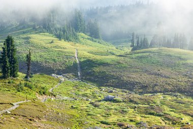 dağ çayırları sis ile iz hiking