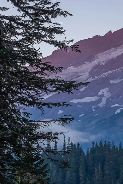 Montañas de nieve y árboles altos al atardecer — Foto de Stock