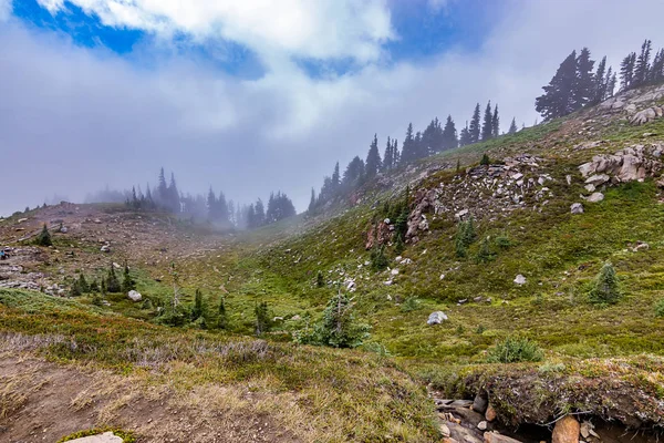 sis ve buğu dağ tarafı ormanlık alanları ile tepesine tırmanmak