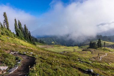vadiye aşağıda dağın tepesinden aşağı pathleading