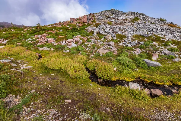 Agua y plantas en la cima del entorno volcánico de montaña — Foto de Stock