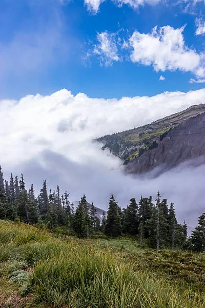 雲と山の中腹の垂直方向のショットを緑の植物で覆われています。 — ストック写真