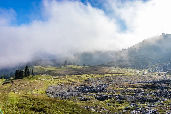 Солнце на горных лугах с туманом — стоковое фото
