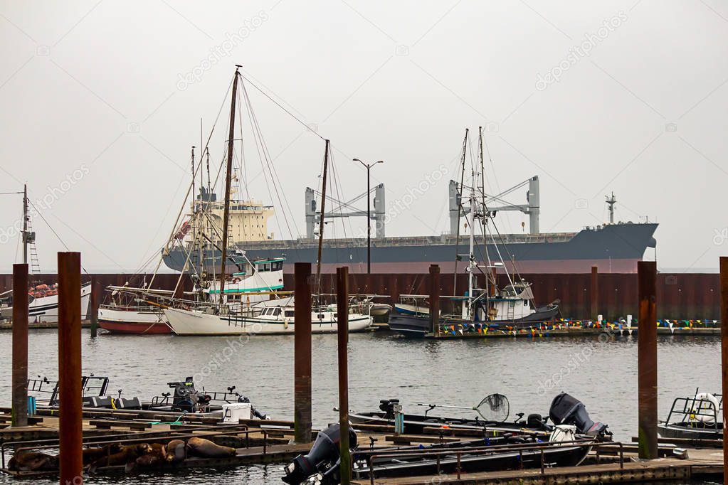 marina with cargo ship and boats and large sealions laying on docks in oregon state