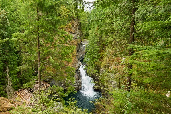 Kleiner Wasserfall von hoch oben auf Waldblick geschossen — Stockfoto