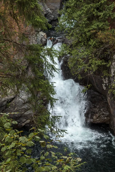 Wasserfall stürzt in tiefblaue Becken im Wald — Stockfoto