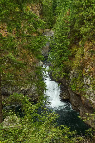 Tiefblauer Pool und grüner Wald mit Wasserfall — Stockfoto