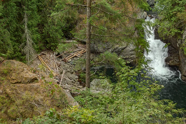 Tiefblauer Pool und grüner Wald mit Wasserfall über Steine — Stockfoto