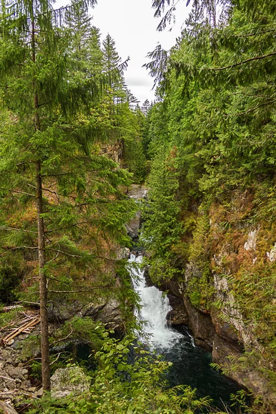 Pool und hoher grüner Wald mit Wasserfall — Stockfoto