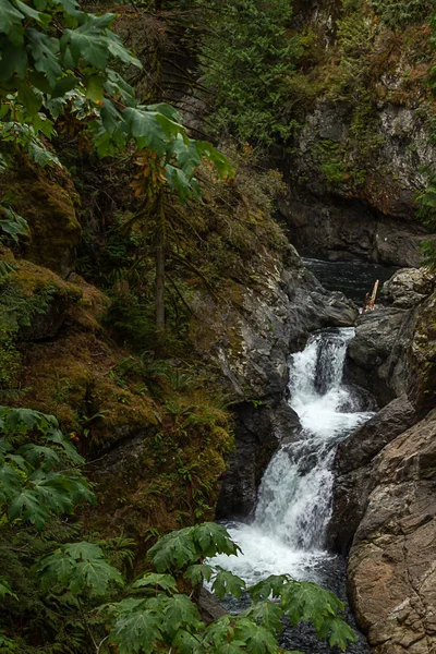 Chute de jumeaux dans le Pacifique nord-ouest washington en août — Photo