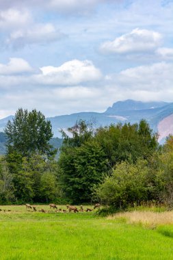 gizli üstleri ve bulutlar ile yüksek dağlar, elk duydum aşağı bakmak