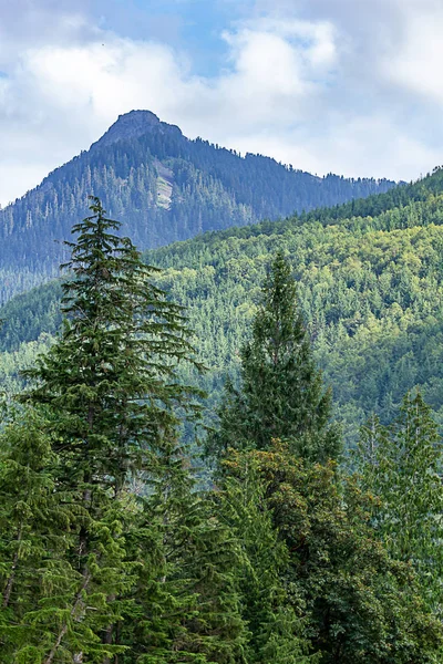 Bomen tot stijgende beboste heuvels en bergtoppen onder bewolkte hemel — Stockfoto