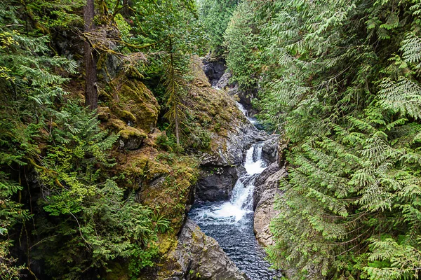 Twin tails falls in washington stae summer months with river and woods — Stock Photo, Image