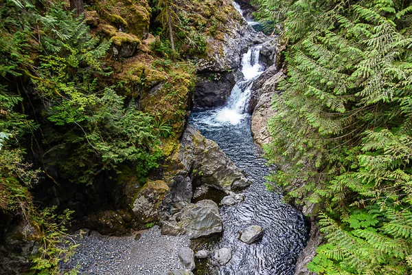 Zwillingsschwänze fallen in Washington stae Sommermonate mit Fluss und Küste — Stockfoto