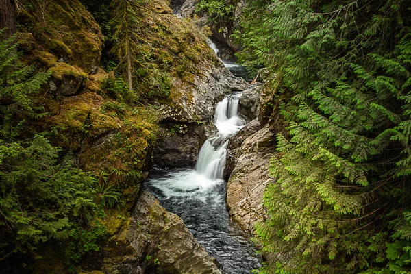 Exposition longue et paisible de la cascade des queues jumelles dans la forêt — Photo