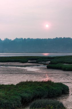 puslu duman dolu gökyüzü gün batımı altında mudflats ve sulak dikey çekim