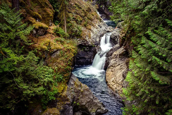 Heller heller Wasserfall in tiefdunkelgrünem Wald — Stockfoto
