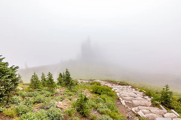 Wijąca się kamień szlak w głębokie mgła — Zdjęcie stockowe
