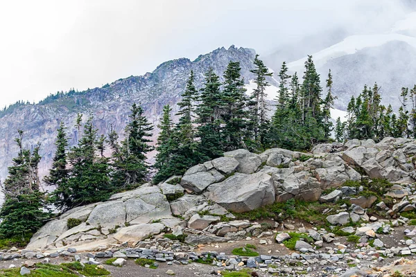 Blue gray rock and deep blue trees along mountain hike — Stock Photo, Image