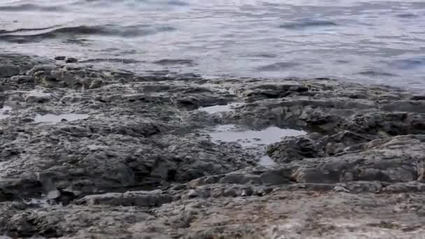 Piedra volánica oscura en el borde de un gran lago azul — Vídeo de stock