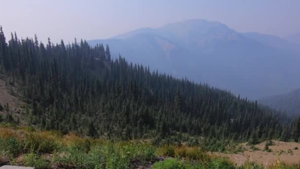 Herbe soufflant le long du bord de la chaîne de montagnes olympique à Washington — Video