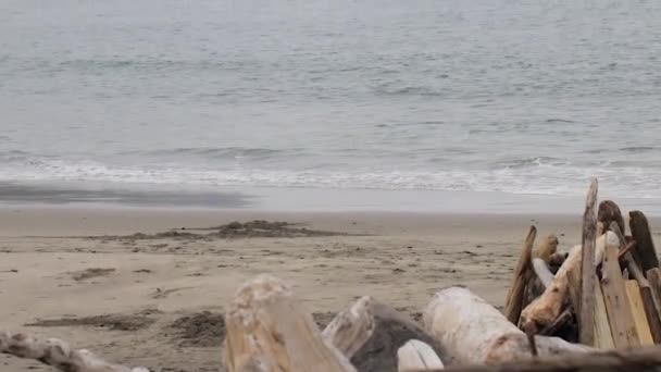 Agua salada y niebla bajo un acantilado con un faro — Vídeo de stock